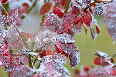 启济律师 启济律师