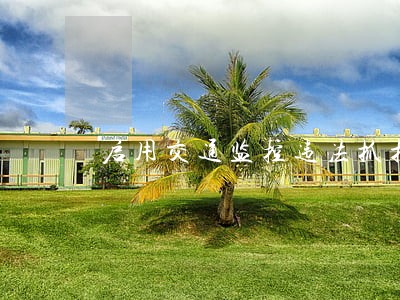 启用交通监控违法抓拍设备