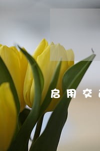 启用交通违法行为抓拍系统 启用交通违法行为抓拍系统