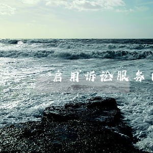启用诉讼服务自助平台 启用诉讼服务自助平台