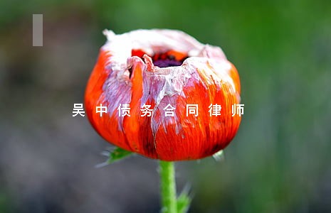 吴中债务合同律师 吴中债务合同律师
