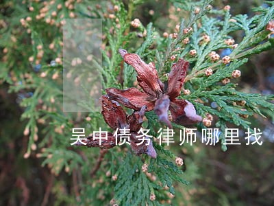 吴中债务律师哪里找 吴中债务律师哪里找
