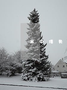 吴中债务担保律师怎么委托 吴中债务担保律师怎么委托