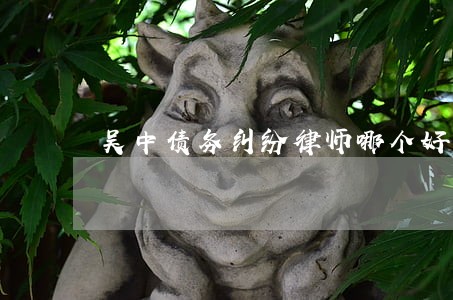 吴中债务纠纷律师哪个好