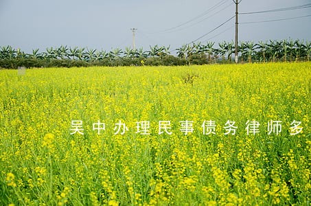 吴中办理民事债务律师多少钱 吴中办理民事债务律师多少钱