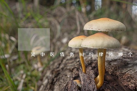 吴中区债务纠纷律师哪个好 吴中区债务纠纷律师哪个好