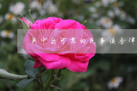 吴中区可靠的民事债务律师 吴中区可靠的民事债务律师