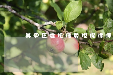吴中区委托债务担保律师 吴中区委托债务担保律师