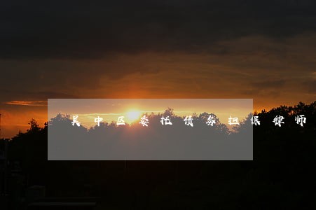 吴中区委托债务担保律师哪里找 吴中区委托债务担保律师哪里找