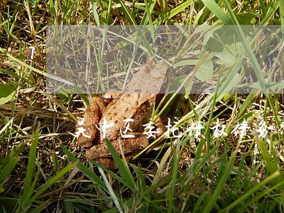 吴中区委托债权债务律师多少钱 吴中区委托债权债务律师多少钱