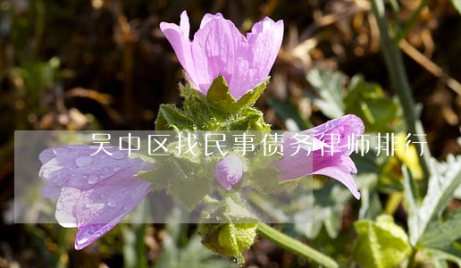 吴中区找民事债务律师排行 吴中区找民事债务律师排行