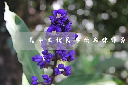 吴中区找民事债务律师费用 吴中区找民事债务律师费用