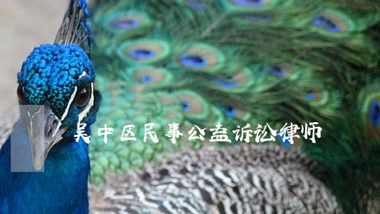 吴中区民事公益诉讼律师 吴中区民事公益诉讼律师