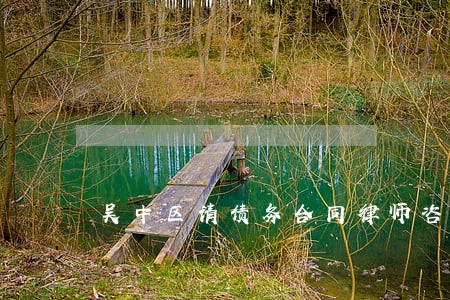 吴中区请债务合同律师咨询 吴中区请债务合同律师咨询