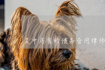 吴中厉害的债务合同律师排行 吴中厉害的债务合同律师排行