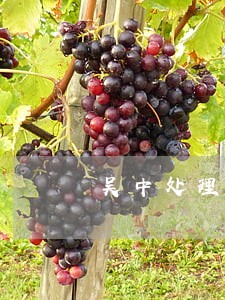 吴中处理债务纠纷律师怎么委托 吴中处理债务纠纷律师怎么委托