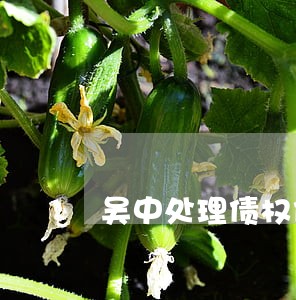 吴中处理债权债务律师哪个好 吴中处理债权债务律师哪个好