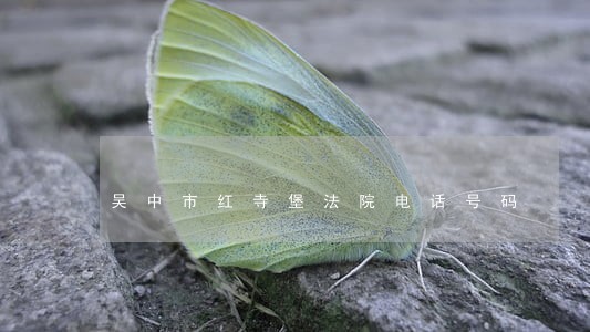 吴中市红寺堡法院电话号码 吴中市红寺堡法院电话号码