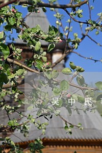 吴中民事债务律师哪个好 吴中民事债务律师哪个好