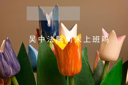 吴中法院周末上班吗 吴中法院周末上班吗