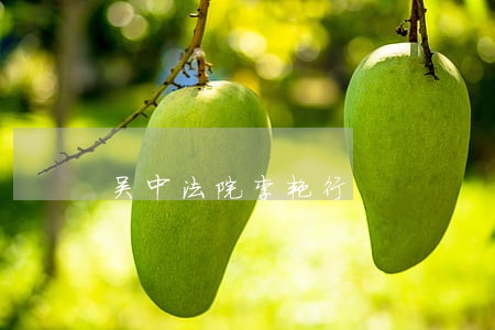 吴中法院李艳行