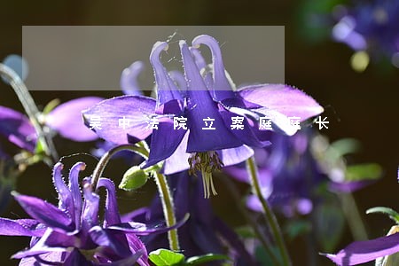 吴中法院立案庭庭长 吴中法院立案庭庭长