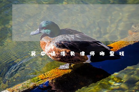 吴中请债务律师哪里找 吴中请债务律师哪里找