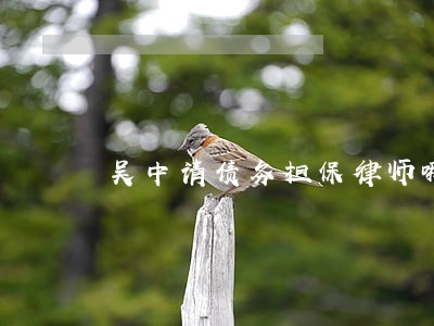 吴中请债务担保律师哪里找 吴中请债务担保律师哪里找