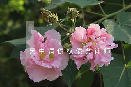 吴中请债权债务律师 吴中请债权债务律师