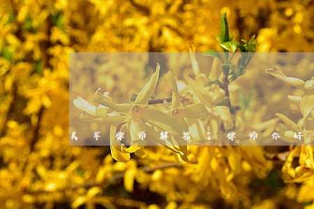 吴军律师解答了律师你好 吴军律师解答了律师你好