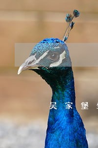 吴家堡坐多少路车去槐荫法院方便 吴家堡坐多少路车去槐荫法院方便