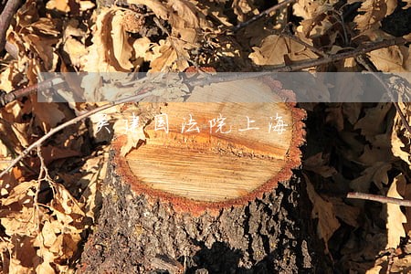 吴建国法院上海 吴建国法院上海