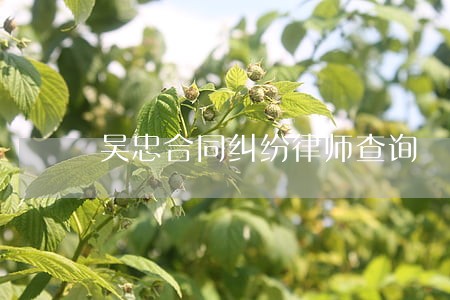 吴忠合同纠纷律师查询 吴忠合同纠纷律师查询