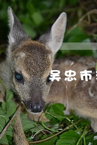 吴忠市利通区法院赵军 吴忠市利通区法院赵军