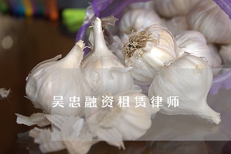吴忠融资租赁律师 吴忠融资租赁律师