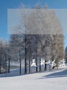 吴桥县消费者权益律师 吴桥县消费者权益律师
