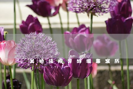 吴桥法院寻衅滋事案历