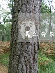 吴江劳务纠纷在线律师服务至上 吴江劳务纠纷在线律师服务至上