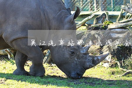 吴江汽车站那违法调头会扣分吗 吴江汽车站那违法调头会扣分吗