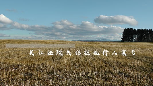吴江法院失信被执行人案号 吴江法院失信被执行人案号