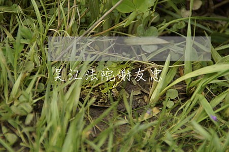 吴江法院谢友忠 吴江法院谢友忠