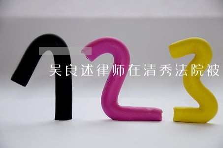 吴良述律师在清秀法院被打