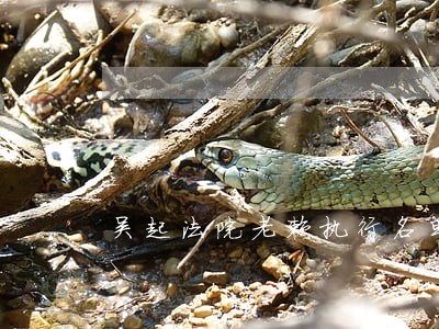 吴起法院老赖执行名单