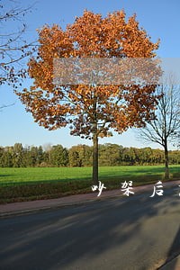 吵架后想离婚改怎么和对方说 吵架后想离婚改怎么和对方说