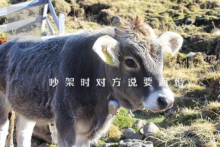 吵架时对方说要离婚 吵架时对方说要离婚