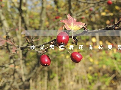 吵架离婚后还有必要复婚吗