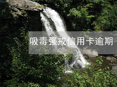 吸毒强戒信用卡逾期 吸毒强戒信用卡逾期