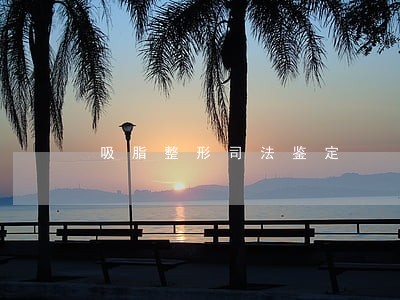 吸脂整形司法鉴定 吸脂整形司法鉴定