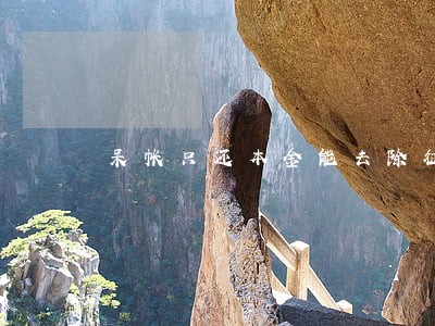 呆帐只还本金能去除征信 呆帐只还本金能去除征信