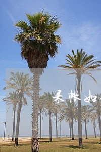 呆帐如何只还本金 呆帐如何只还本金